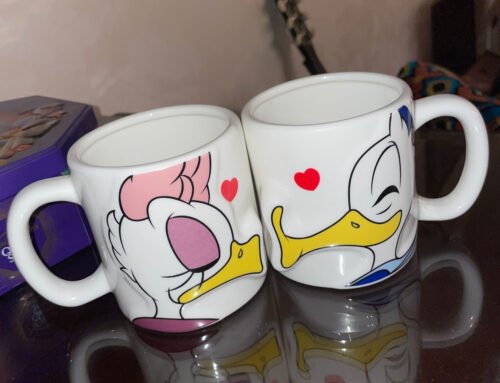 Donuld duck couple photo review